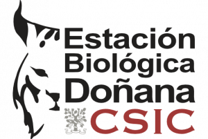 The Spanish National Research Council