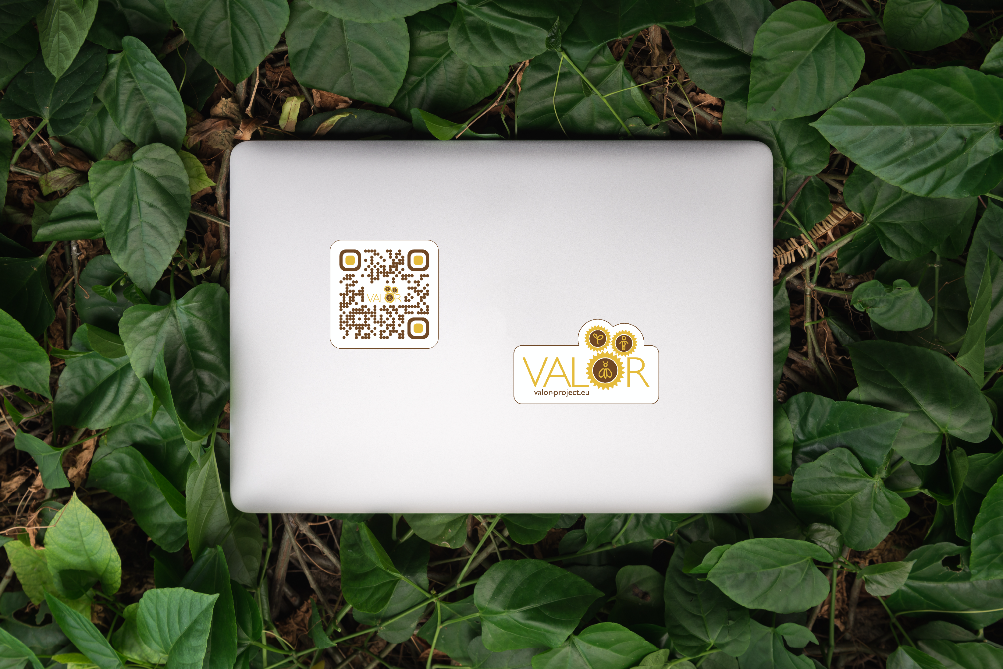 Sticker (2)