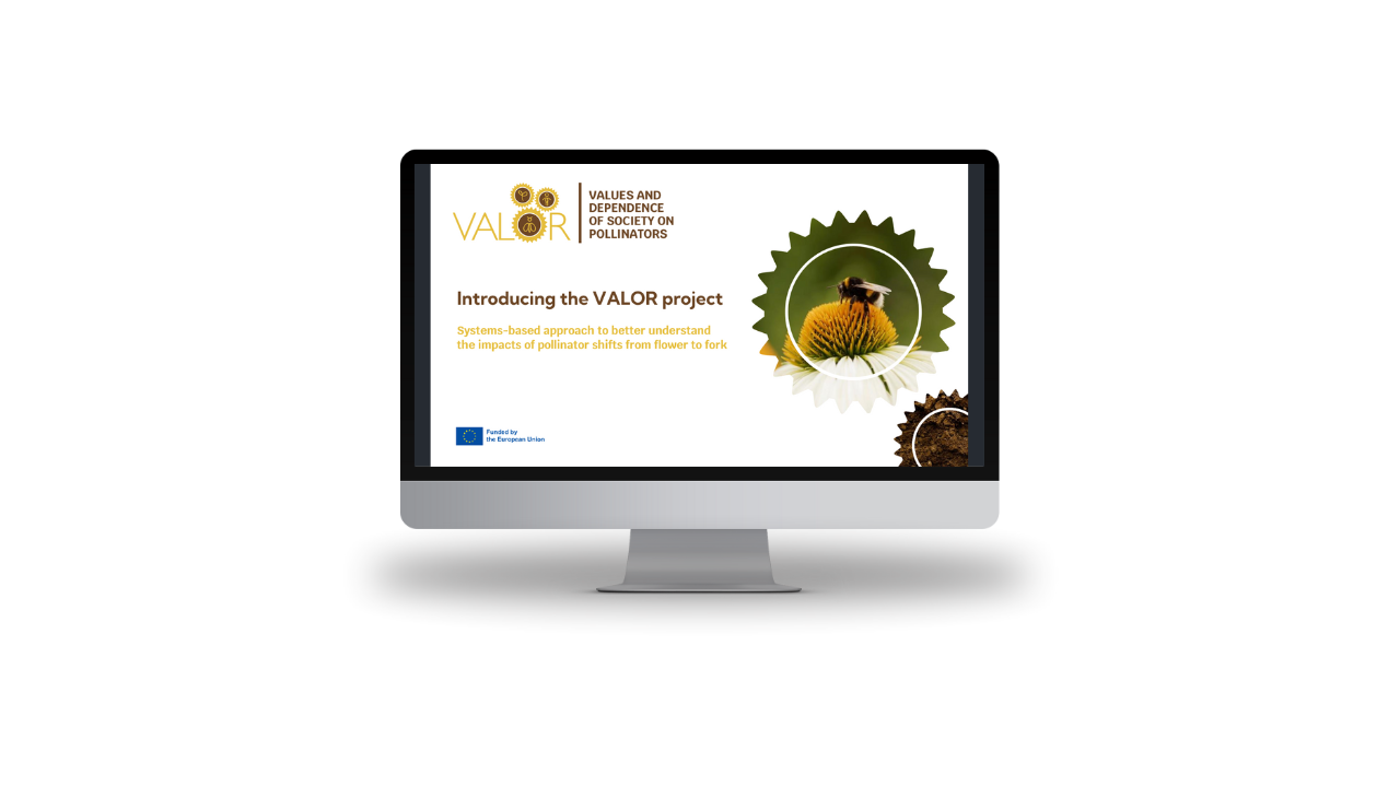 Introductory presentation