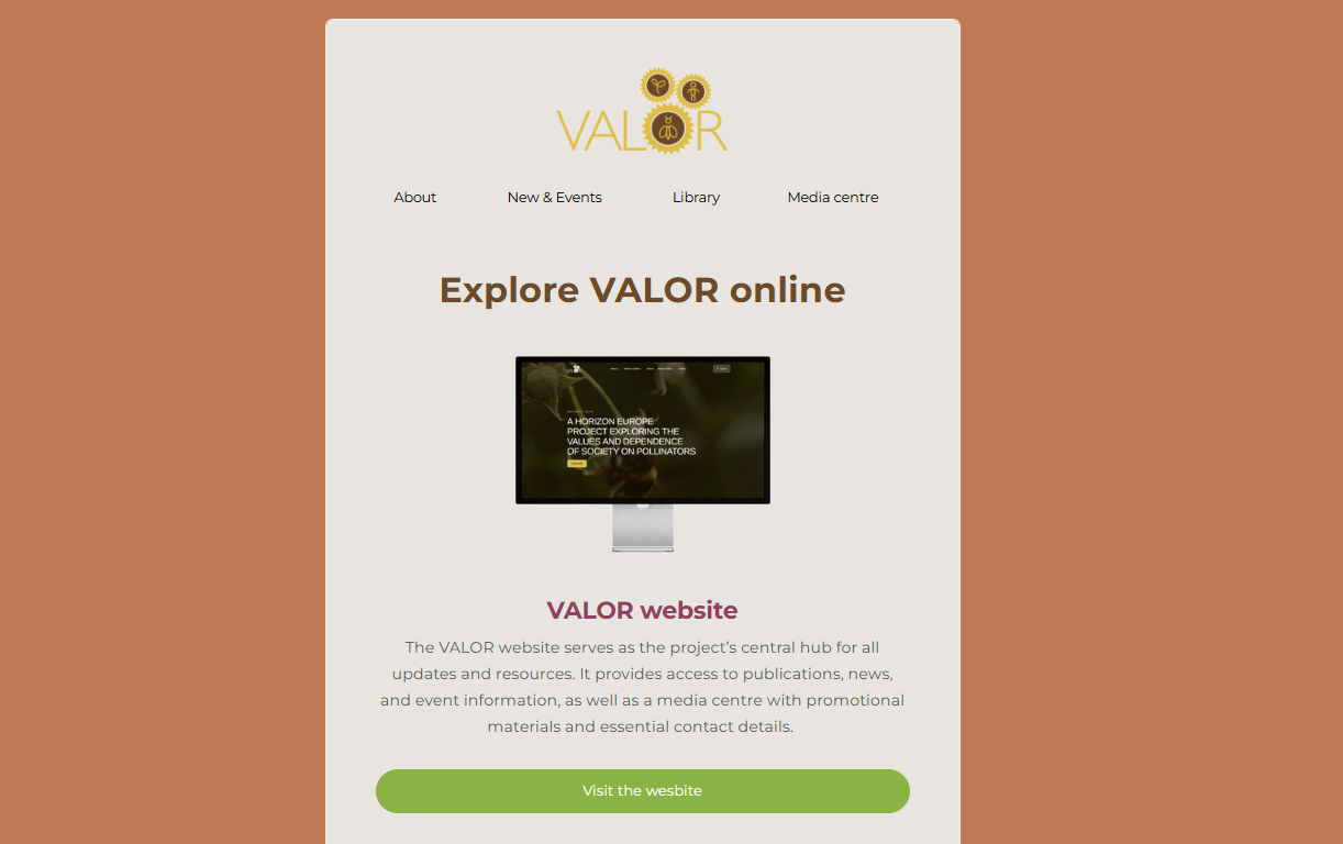 VALOR Newsletter | October 2025