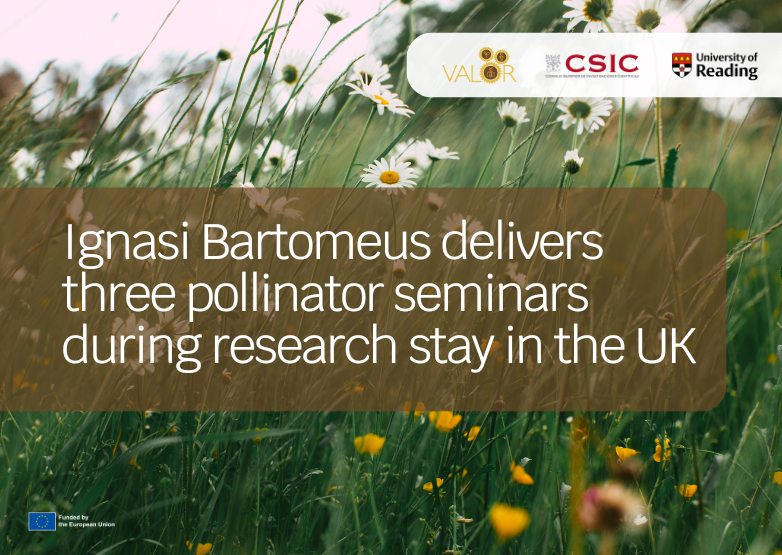 Ignasi Bartomeus from CSIC delivers three pollinator seminars during research stay in the UK