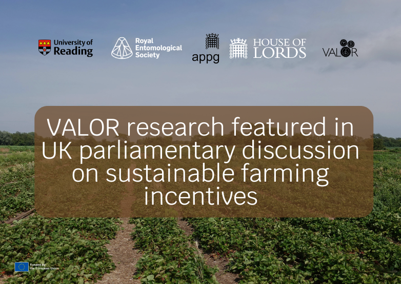 VALOR research featured in UK parliamentary discussion on sustainable farming incentives