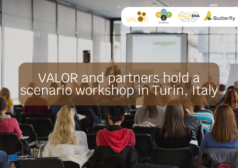 VALOR and partners hold a scenario workshop in Turin, Italy
