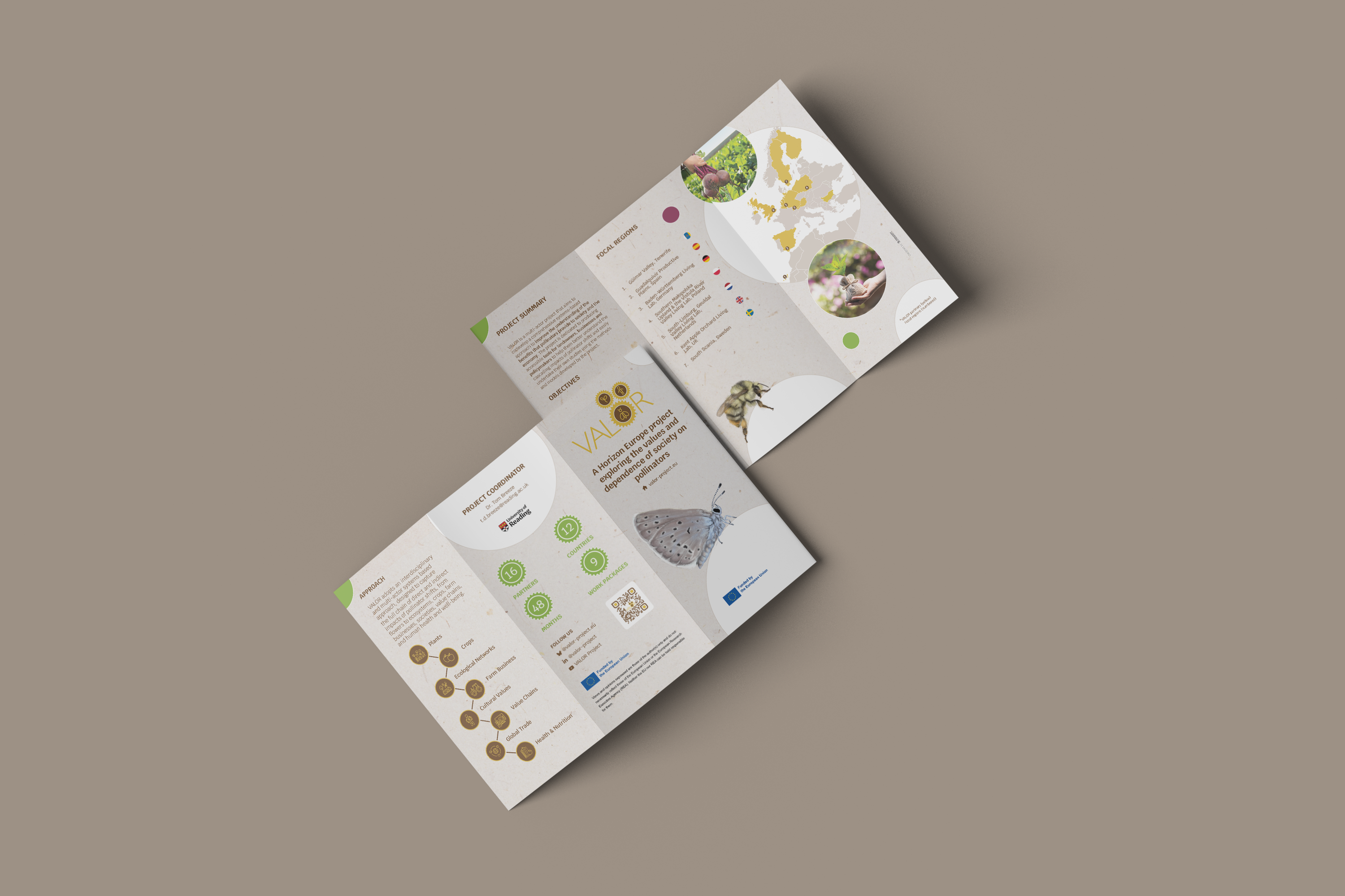 Trifold brochure