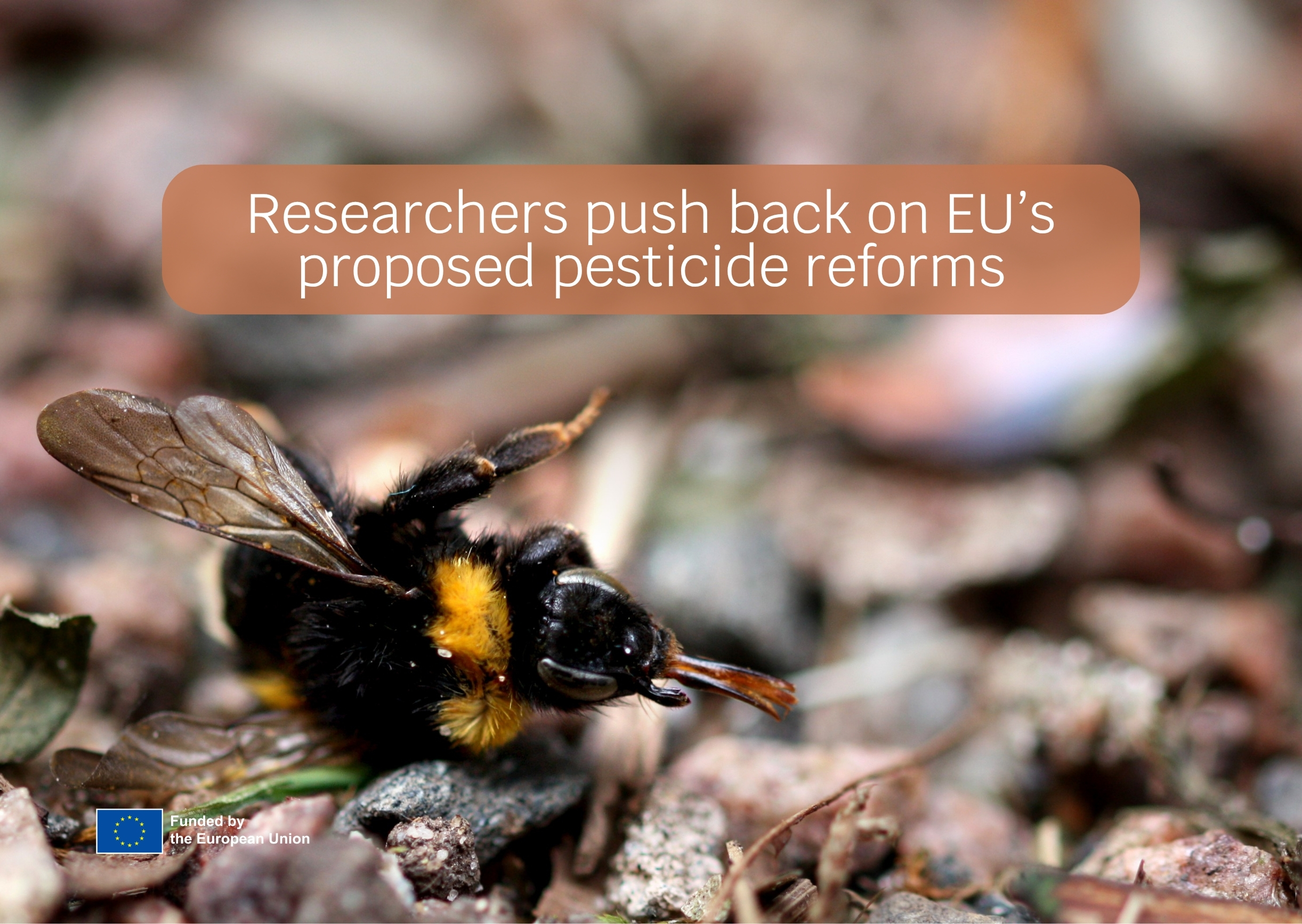 European researchers flag risks in EU Commission's draft pesticide legislation