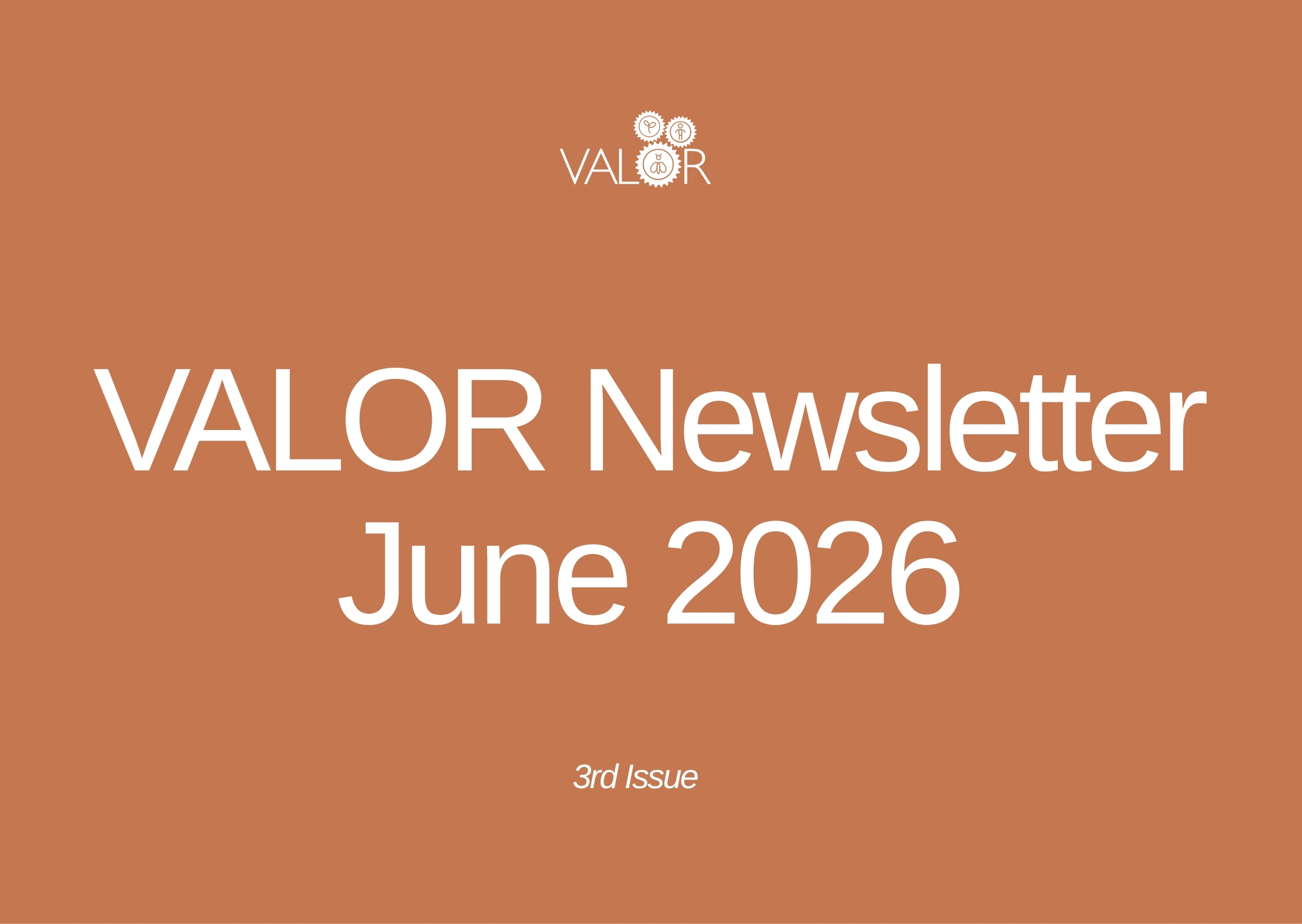 VALOR Newsletter | June 2026