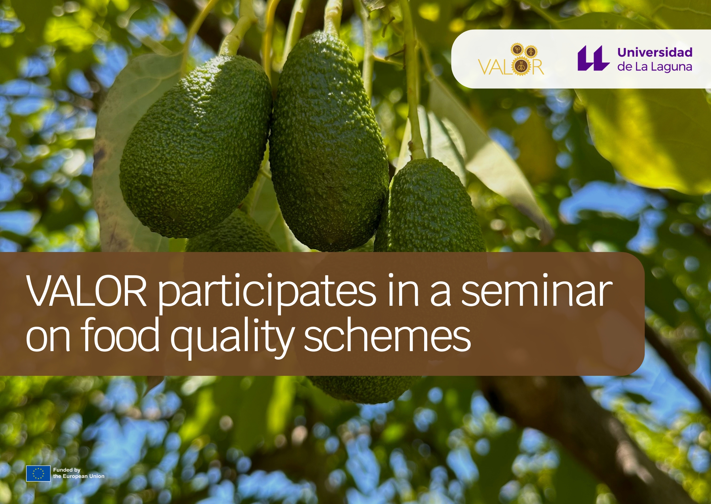 VALOR participates in a seminar on food quality schemes