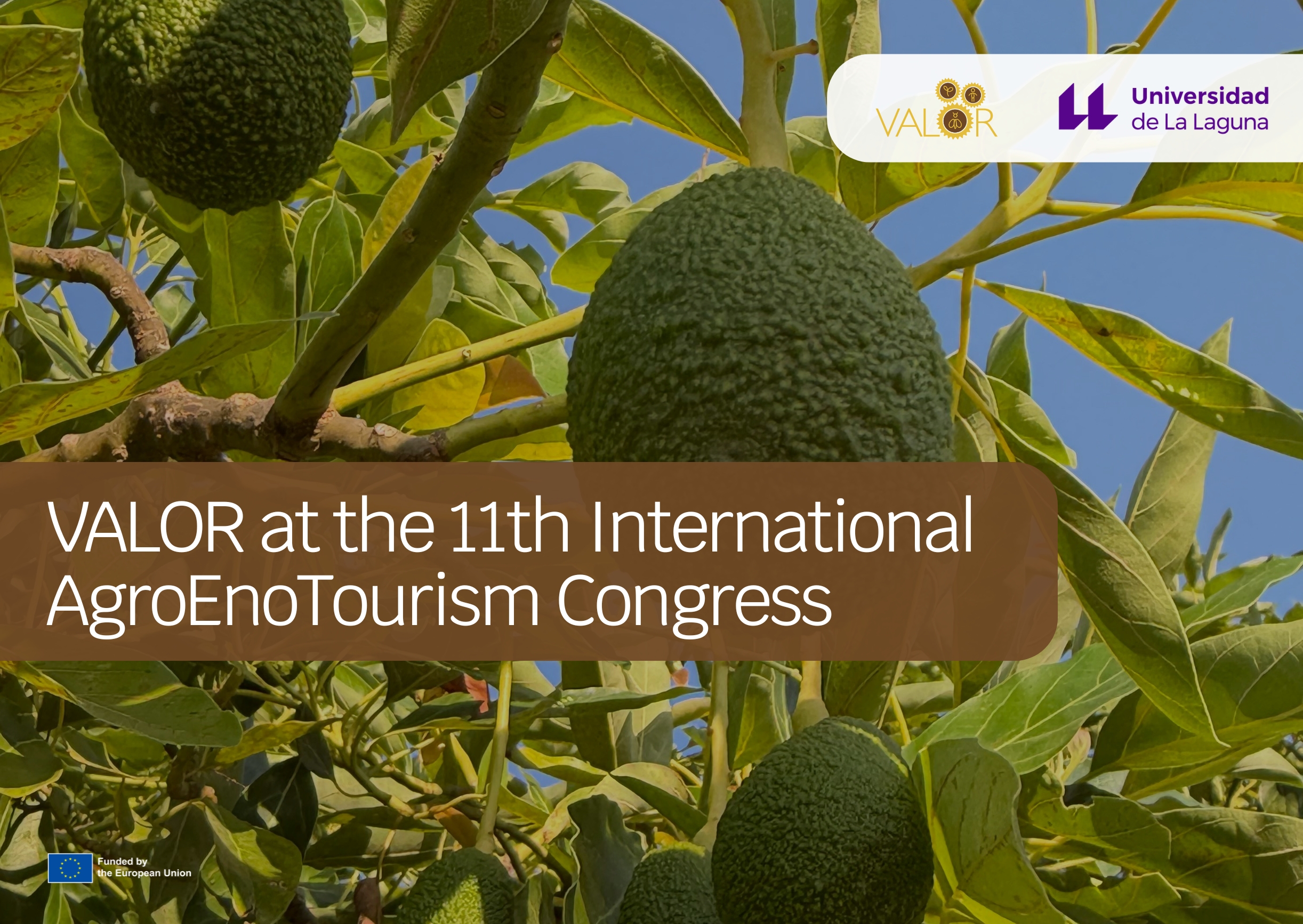 VALOR participates at the 11th International AgroEnoTourism Congress on the Canary Islands