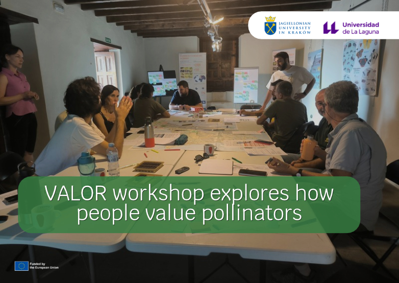VALOR workshop in Tenerife explores how people value pollinators