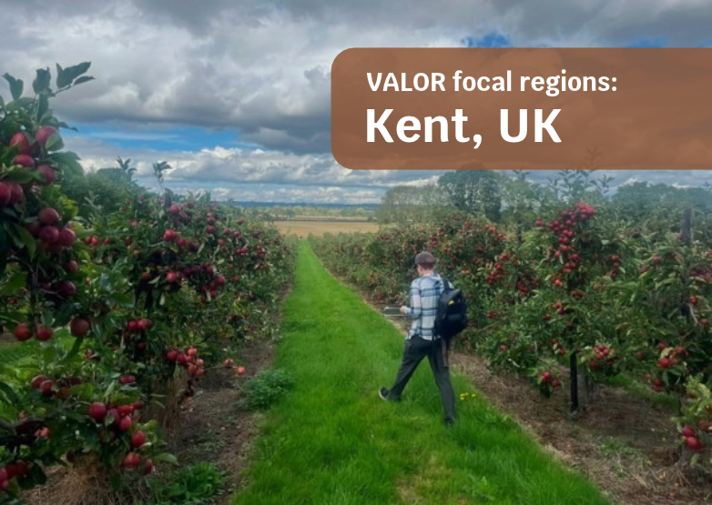 Introducing the VALOR Focal Regions: Kent, UK