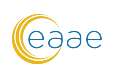 11th EAAE PhD workshop