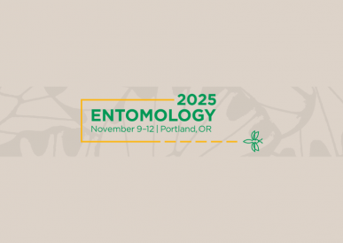 Entomology 2025
